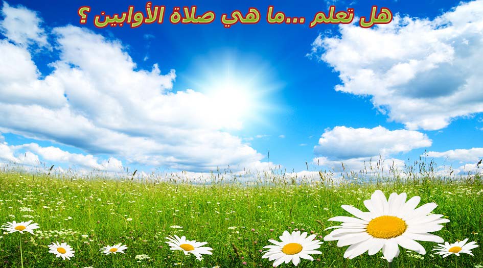 هل تعلم ...ما هي صلاة الأوابين ؟