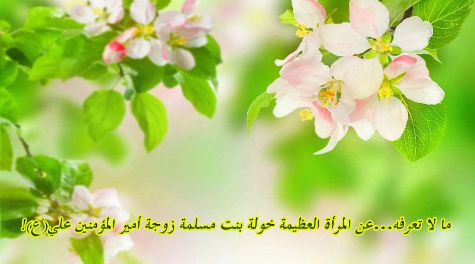ما لا تعرفه...عن المرأة العظيمة خولة بنت مسلمة زوجة أمير المؤمنين علي(ع)؟