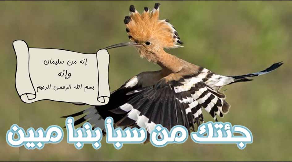 هل تعذيب ومعاقبة النبي سليمان للهدهد ينافي عصمة الأنبياء..؟