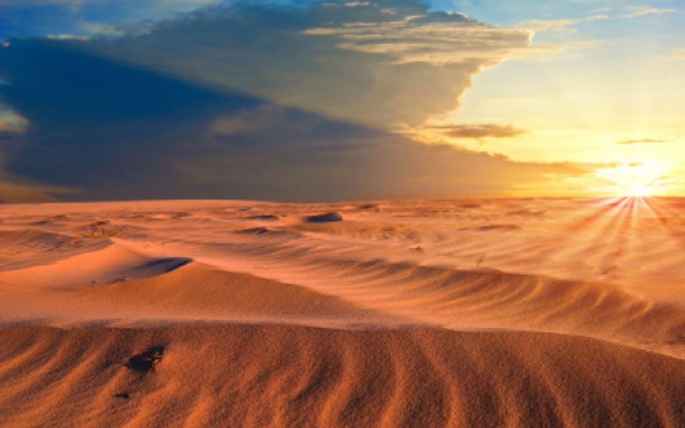 خبير سعودي يكشف عن تعرض المملكة لـ "أكبر كذبة"