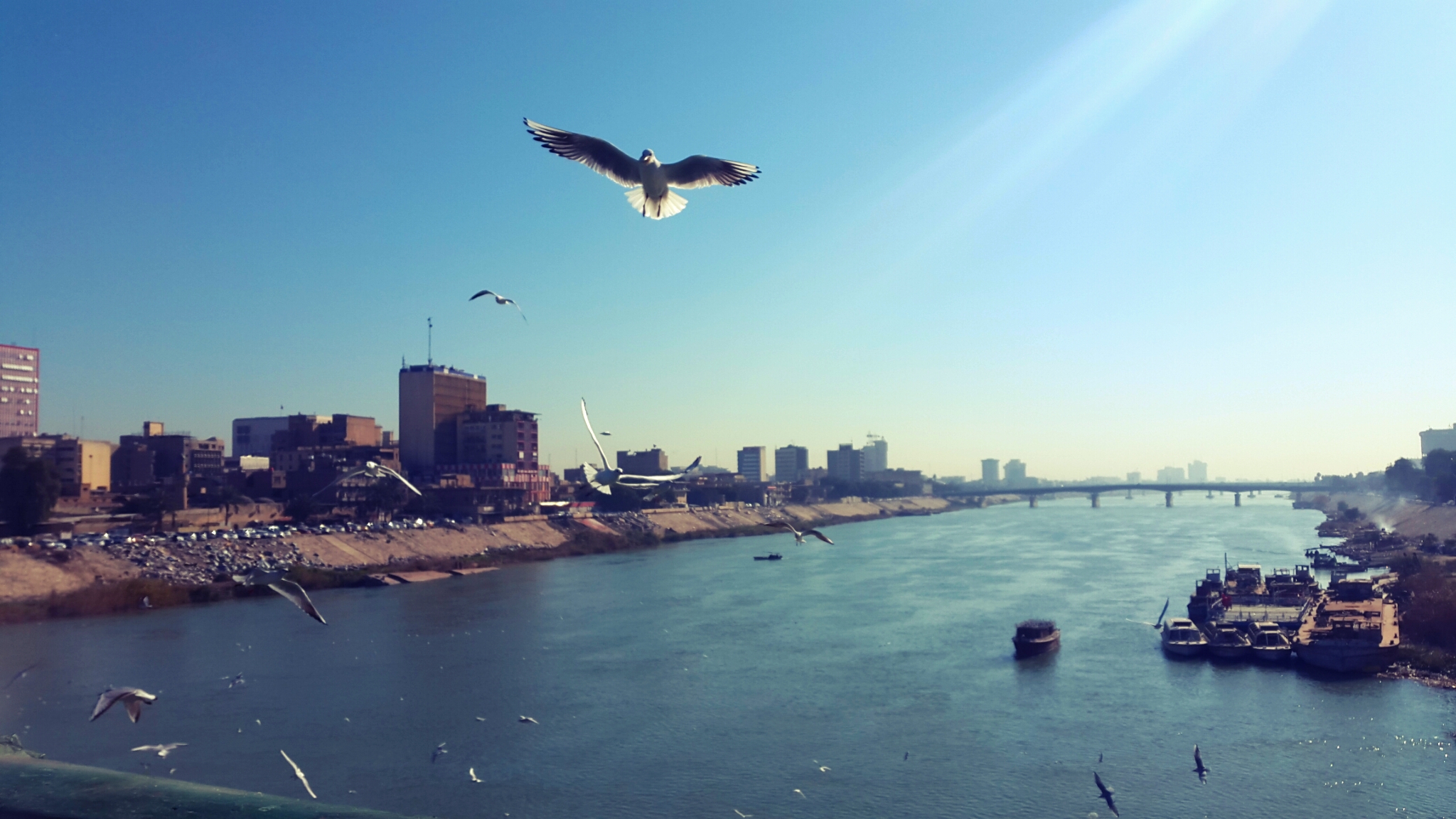 أطول برج سكني في الشرق الأوسط يبنيه العراق