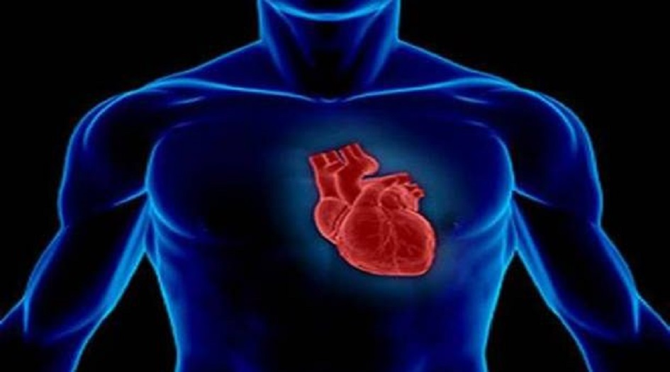 متى تعرف أن قلبك ينبض أكثر أو أقل من المعدل الطبيعي؟