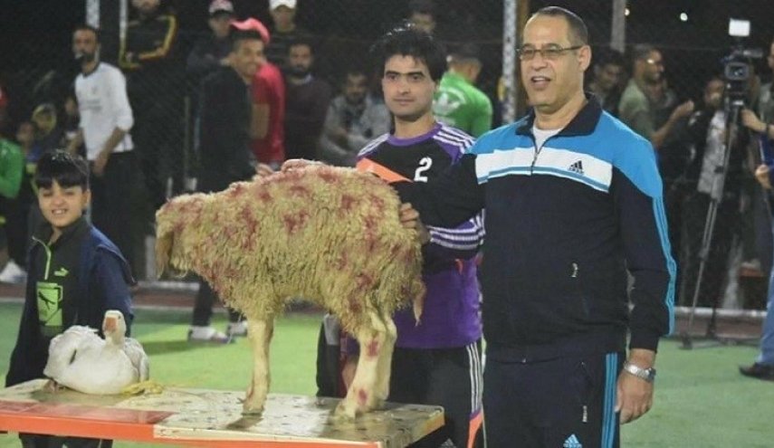 ماذا يفعل "خروف وبطة" في بطولة لكرة القدم في العراق؟ +صورة