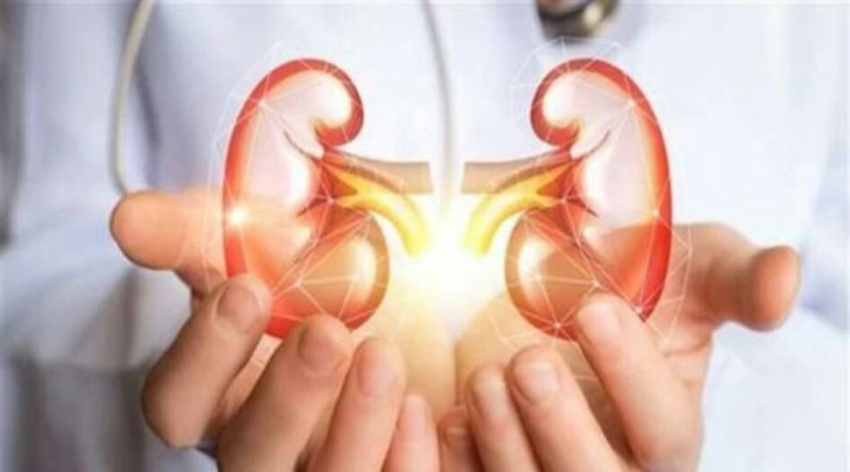 6 أطعمة صديقة للكلى.. تناولوها!
