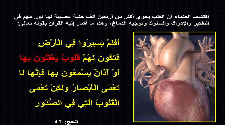 بالصور... آيات الله في خلق اعضاء جسم الإنسان‏