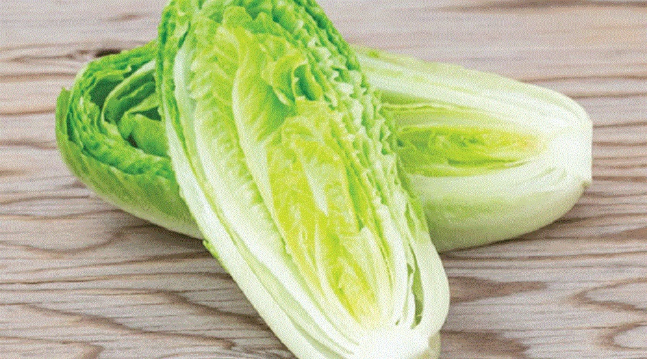 علماء يحذرون من شيء خطير في الخس