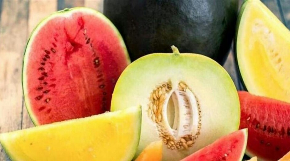 البطيخ الأحمر أو الأصفر: ما الفرق بينهما وأيهما الأفضل؟
