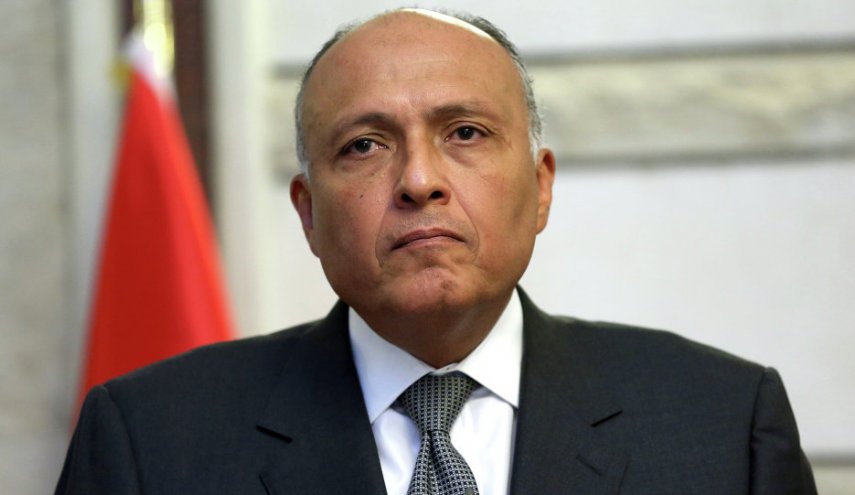 مصر: تركيا استغلت الظروف التي تمر بها سوريا لإحياء مشروعها