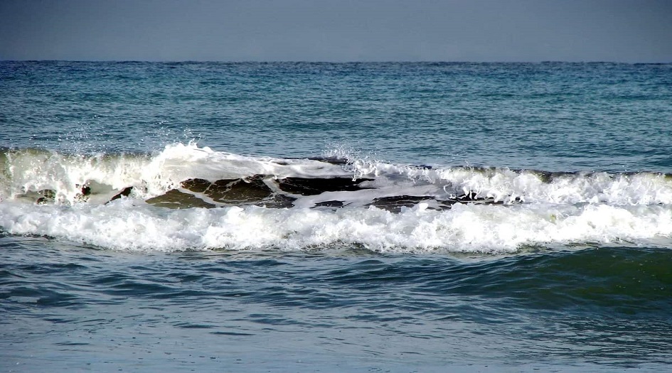 تعرف على 