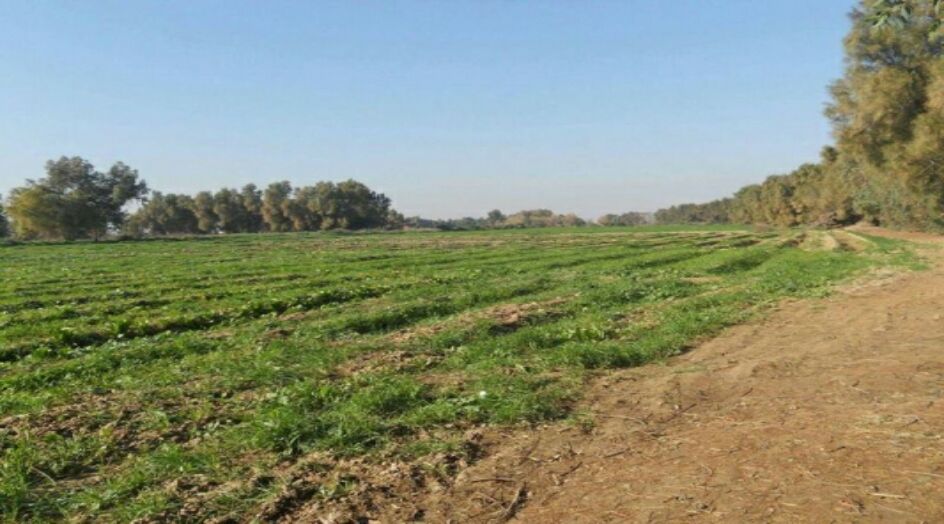بالصور..إنشقاق مرعب في الأرض بمحافظة عراقية