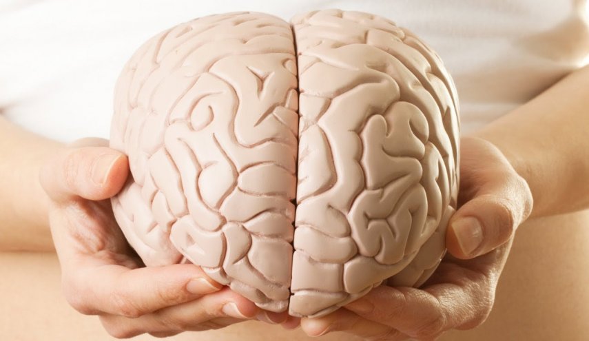 ألعاب تدريب الدماغ تساعدنا على التخلص من الوزن الزائد