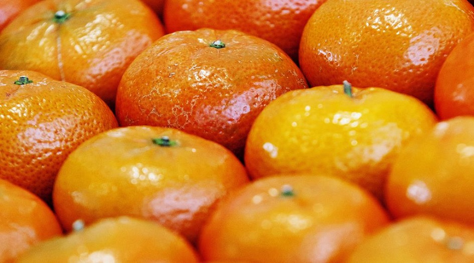اليوسفي مفتاح الصحة والجمال