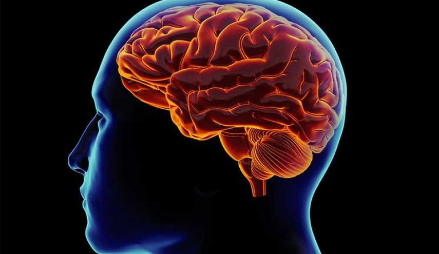 أطعمة تقتل الذكاء وتدمر العقل .. إحداها تستهلكها يوميا