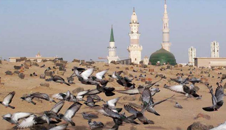 قصيدة في ذكرى هدم قبور ائمة البقيع (ع)