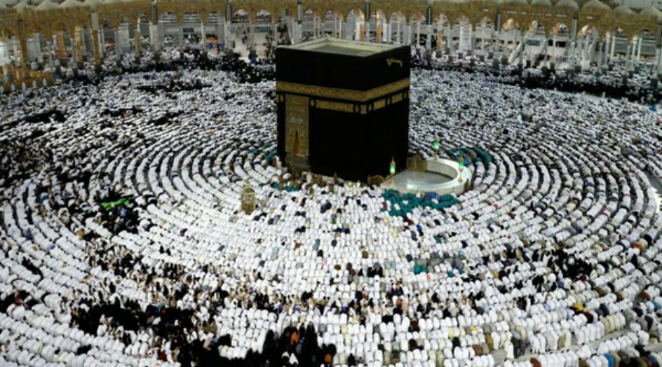 منظمة الحج الايرانية تناقش التقديرات الاحتمالية لمناسك الحج القادم