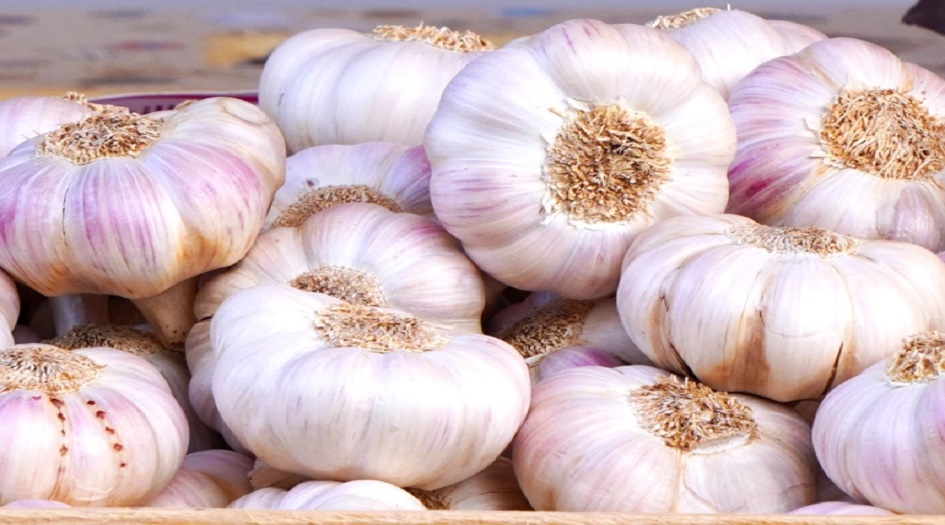 خبير يحذر من مخاطر تناول الثوم