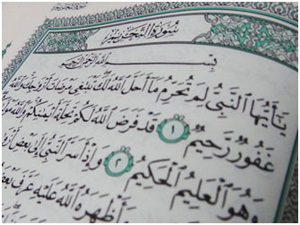 نقد و بررسى ديدگاه هاى موجود درباره افشاى راز پيامبر (ص) در آيات ابتدايى سوره تحريم