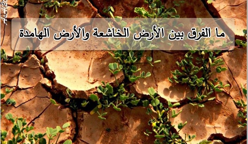 قبسات قرآنية (18).. (وَتَرَى الْأَرْضَ هَامِدَةً... أَنَّكَ تَرَى الْأَرْضَ خَاشِعَةً)