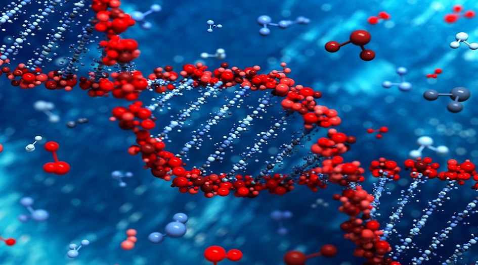 اختبار DNA يحدد درجة الالتهاب الرئوي لدى المصابين بكورونا