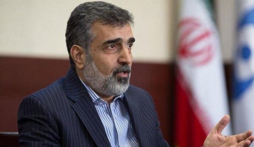 كمالوندي: اكدنا على الدوام بان ايران لن ترضخ للضغط والتهديد