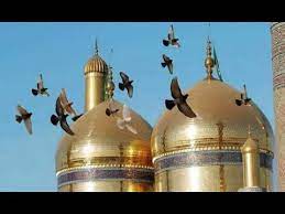 احاديث عن الامام موسى الكاظم(ع)