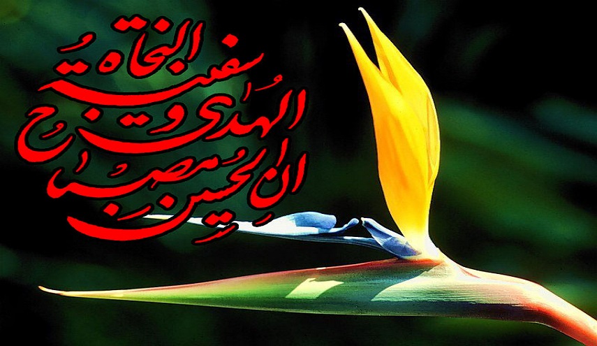 مولد الاقمار الشعبانية... (4) الامام الحسين (ع) يروي عن جدّه (ص)
