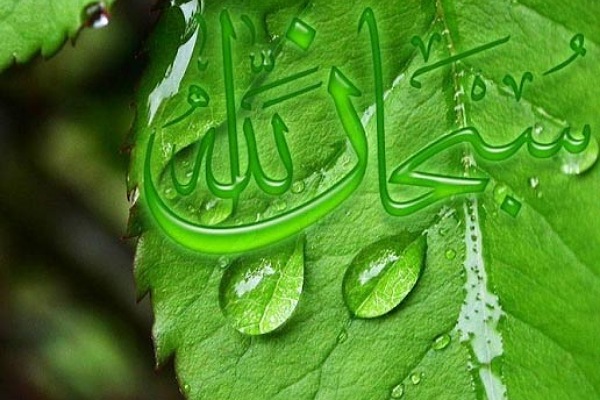 توجه به طبيعت در كلام وحي