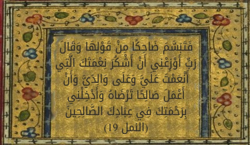 قبسات قرآنية (48 )..( فَتَبَسَّمَ ضَاحِكاً مِّن قَوْلِهَا ...)