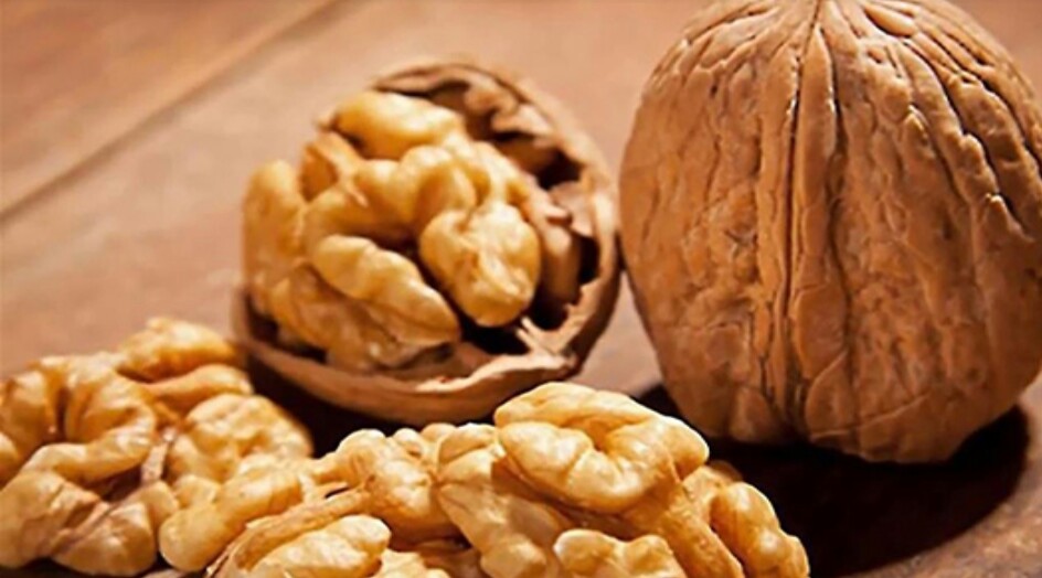 ماذا يحدث في الجسم عند تناول حفنة جوز يوميا؟