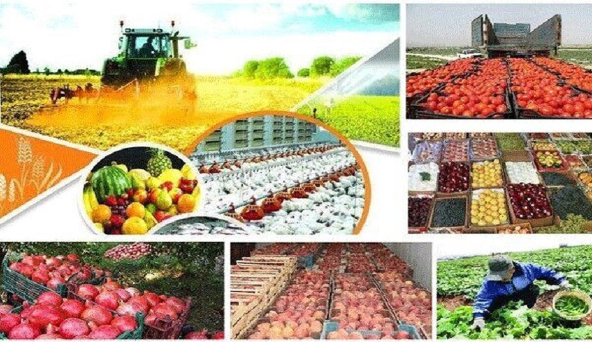 صادرات ايران للمنتجات الزراعية تقارب الـ 6 مليارات دولار 
