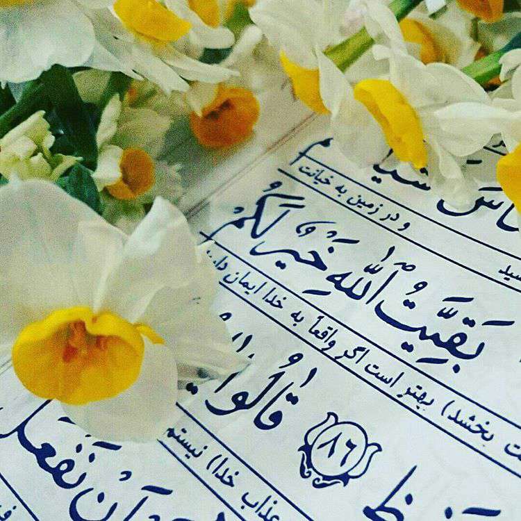 بررسي آيات مهدوي قرآن كريم