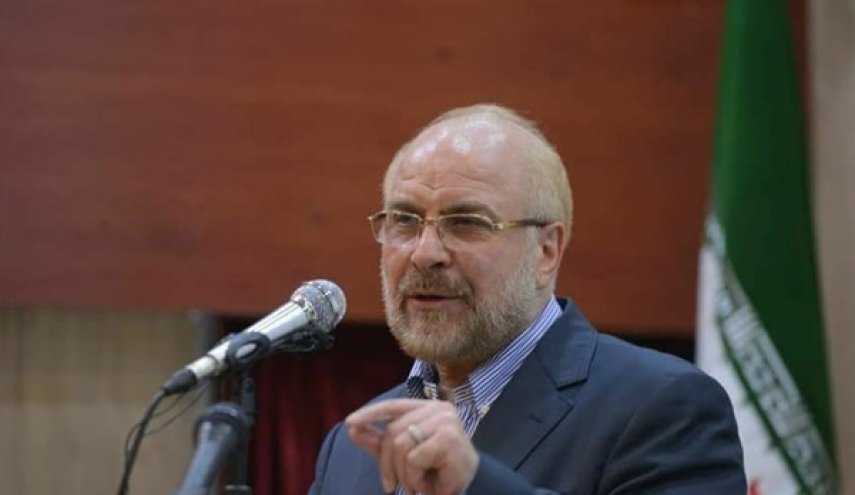 رئيس البرلمان الايراني يؤكد على المشاركة الواسعة في الانتخابات الرئاسية