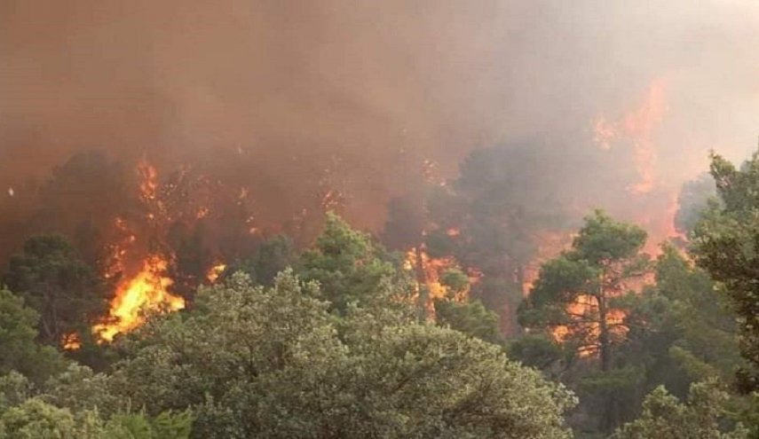 الجزائر..31 حريقا في 14 ولاية وعدد الضحايا يرتفع!