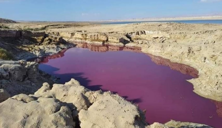 وزارة المياه في الأردن تعلق على قضية  بركة حمراء في منطقة الأغوار 