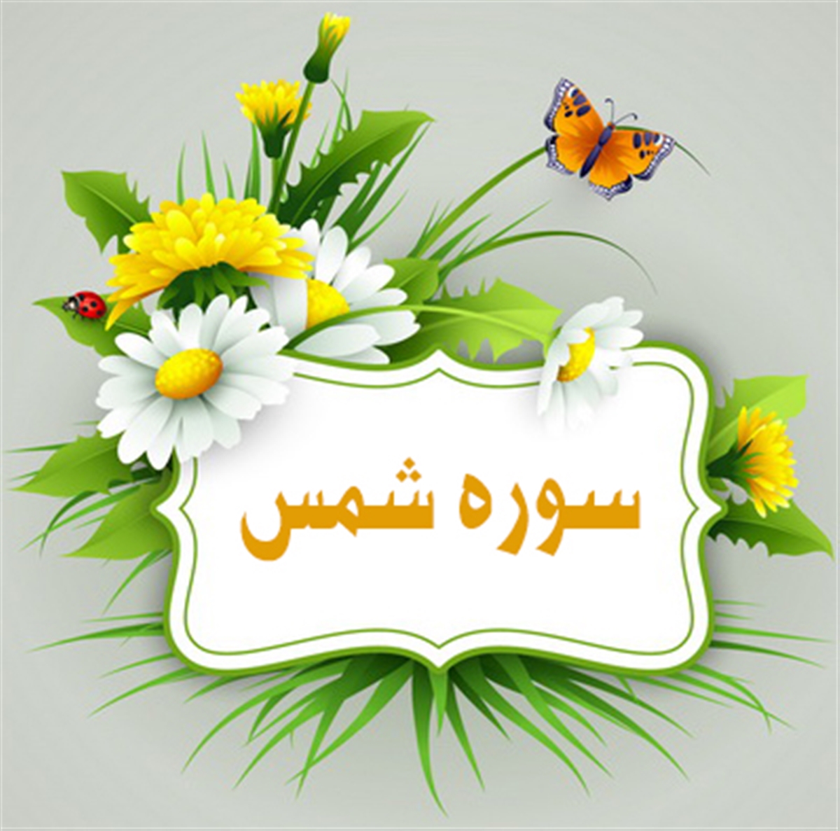  شمس ؛ سوره اي با يازده سوگند