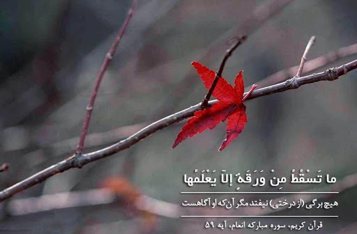 گستره علم الهي چقدر است؟