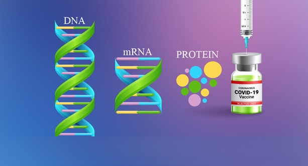 توليد ۲ واكسن mRNA كرونا مبتني بر نانو فناوري در ايران