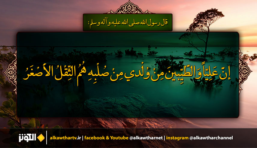 قال رسول الله(ص):  إنَّ عَلِيّاً وَالطَّيِّبينَ مِنْ وُلْدي مِنْ صُلْبِهِ هُمُ الثِّقْلُ الاَْصْغَرُ.....
