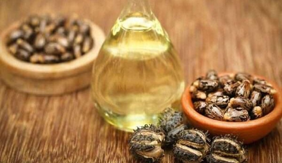 فوائد زيت الخروع .. استخداماته وآثاره الجانبية ونصائح هامة