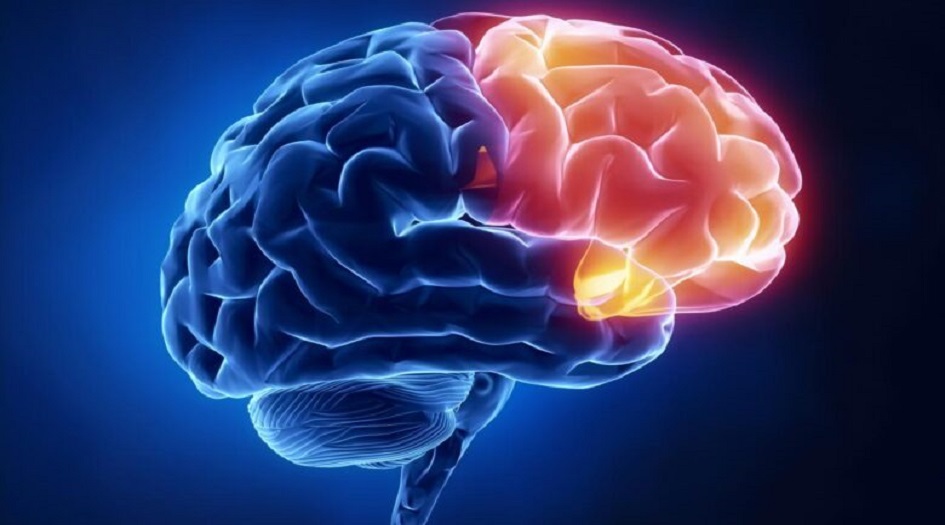 أفضل 6 أطعمة لتعزيز صحة الدماغ
