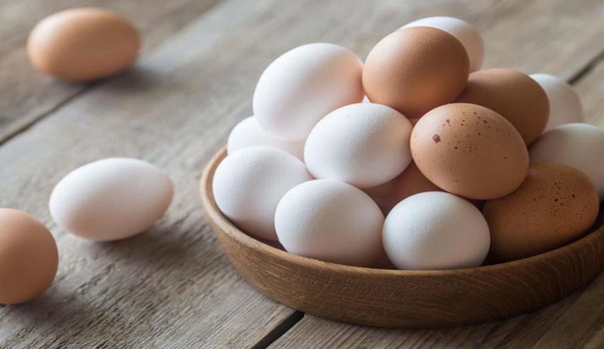  تعرف على الفرق بين البيض الأبيض والبني 