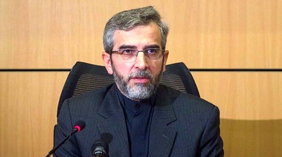  باقري كني : نهج ايران الستراتيجي قائم على التعامل مع الجيران