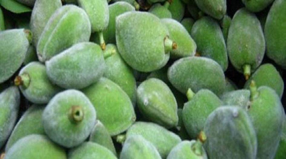 تعرف على الفوائد المذهلة للوز الأخضر