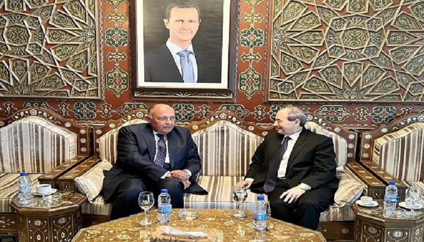 وزير خارجه مصر به دمشق سفر كرد
