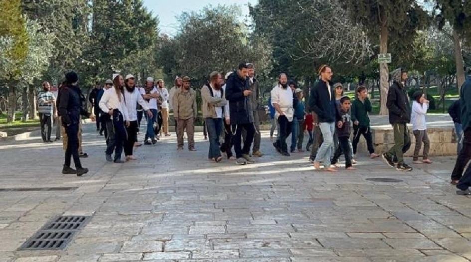بحماية من قوات الاحتلال... مستوطنون يدنسون المسجد الاقصى المبارك 