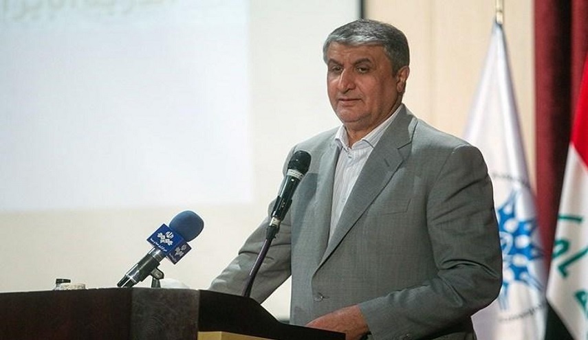 ايران.. محمد اسلامي:  لن نتخلى عن حقوقنا النووية و إننا نقوم بعملنا بصبر ووفقا للقواعد