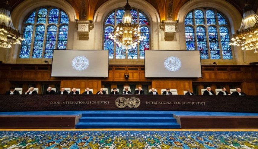  "المحامين الدولية" بهولندا: سنقدم 25 فصلا من الأدلة لجرائم الاحتلال في غزة 