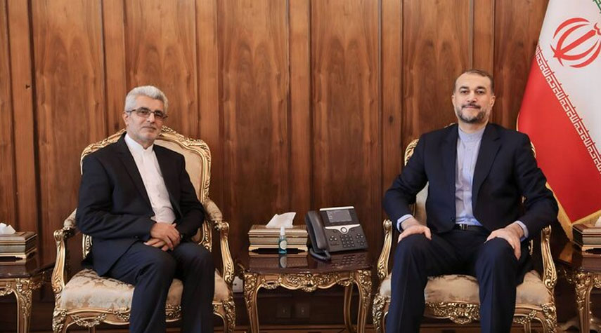  عبد اللهيان يؤكد على توسيع العلاقات مع النيجر في مختلف المجالات 