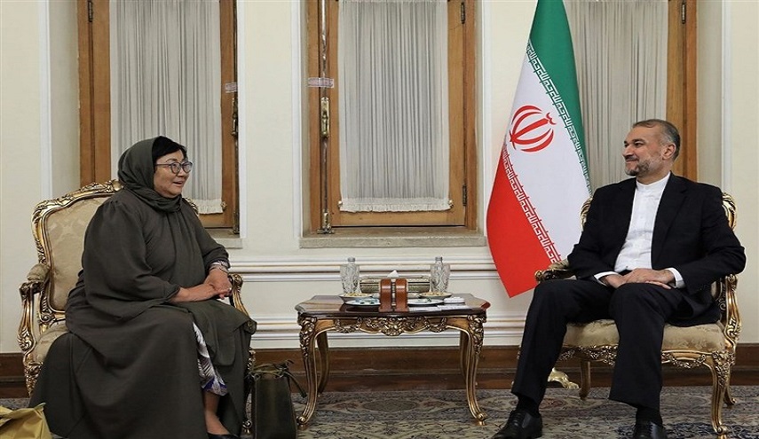  الممثلة الخاصة للأمين العام في أفغانستان تلتقي امير عبداللهيان 