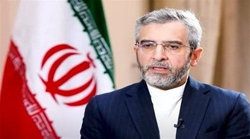 وزير الخارجية الإيراني بالوكالة : المقاومة في فلسطين جعلت الكيان الإسرائيلي معزولاً 